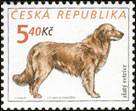 Chovatelství - psi - Zlatý retriever (č. 297)