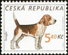 Chovatelství - psi - beagle (č. 299)