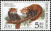 Ochrana přírody - zvířata v ZOO - Panda malá (č. 301)