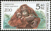Ochrana přírody - zvířata v ZOO - Orangutan (č. 303)